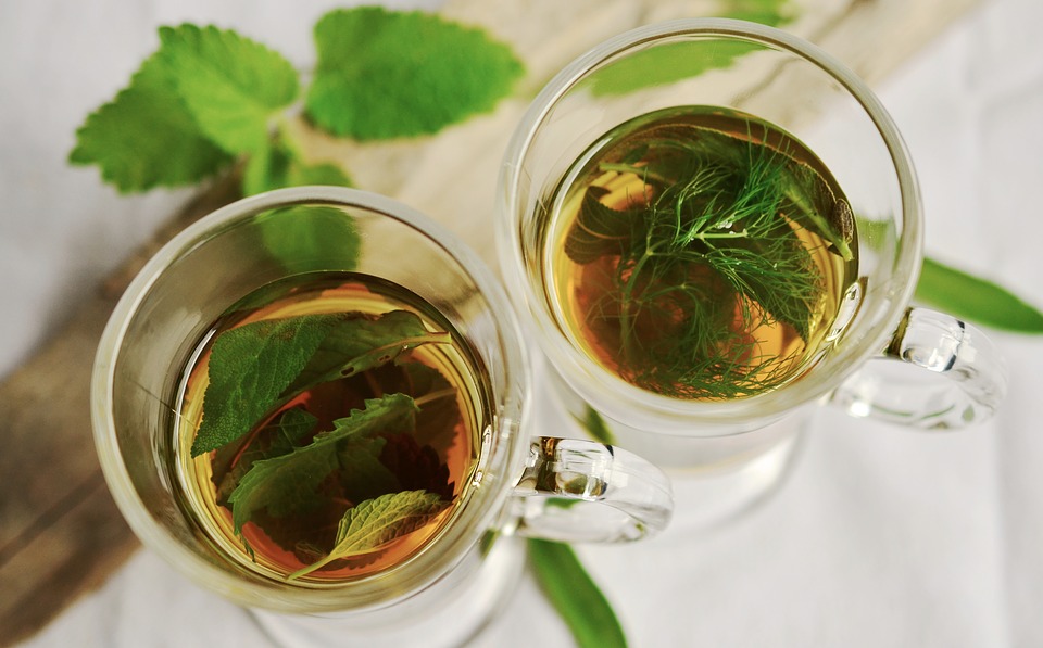 Čaj – zdraví a požitek v jednom šálku